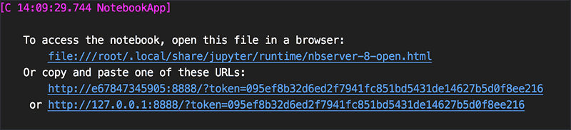 Jupyter Notebook 起動後に URL が表示される