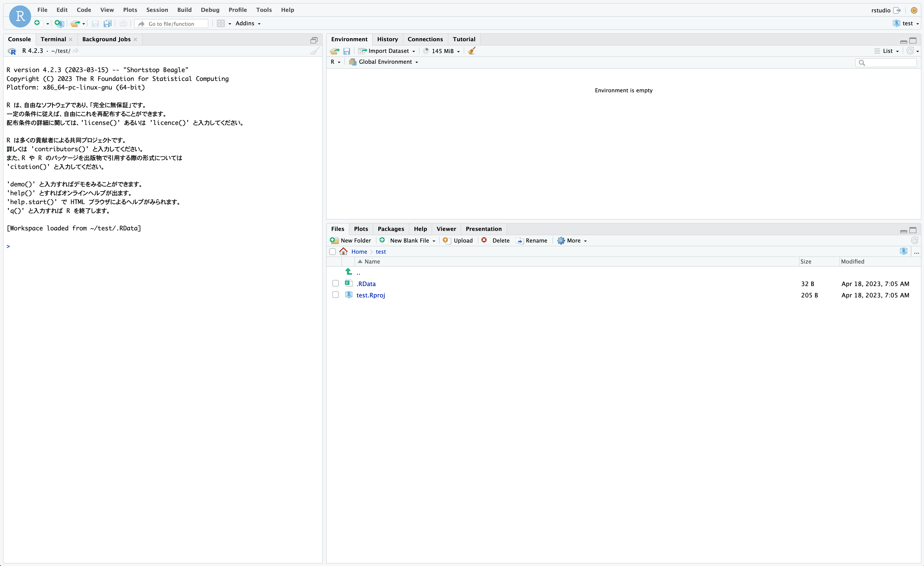 RStudio ログイン後の画面