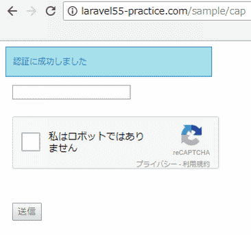 reCAPTCHA サーバサイド認証成功
