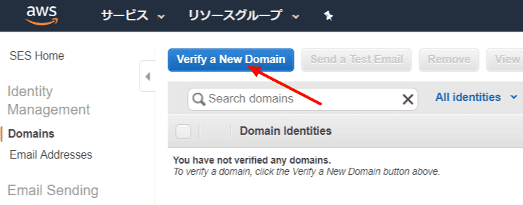 Verify a New Domain ボタン